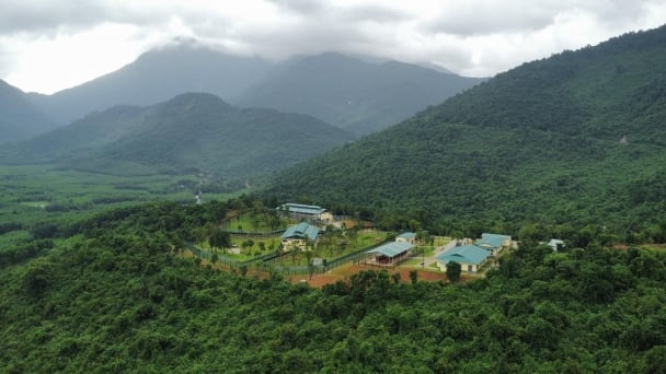 WWF-Vietnam announces Central Annamites Landscape Strategy for 2025–2030